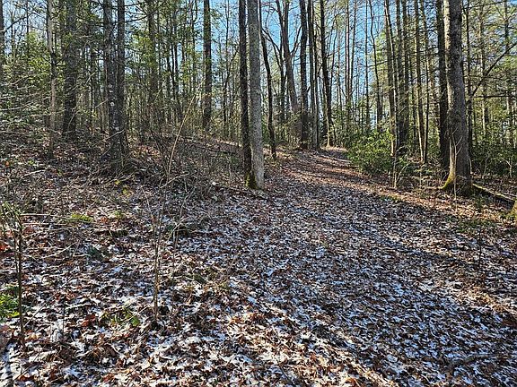 2nd image of 00 Beaver Dam Rd