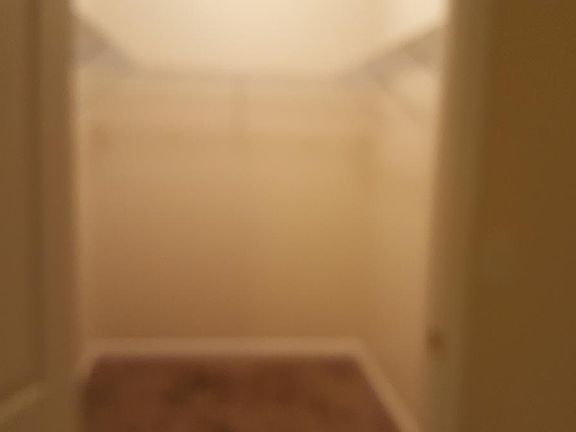 5th image of 775 Hidden Springs Dr Floor 1