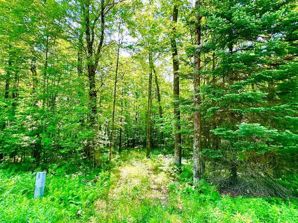 Cth Dd, Pickerel, WI 54465