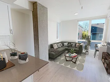 Lucille Apartments - 6717 Roosevelt Way NE Seattle WA | Zillow