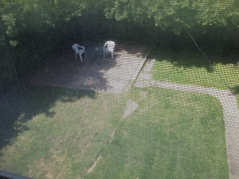 1017 Art Hill Pl — Photo 8