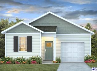 508 Fiddler Run Ln, Florence, SC 29505