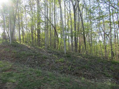 10696 Dickerson Mill Rd #A, Moneta, VA, 24121