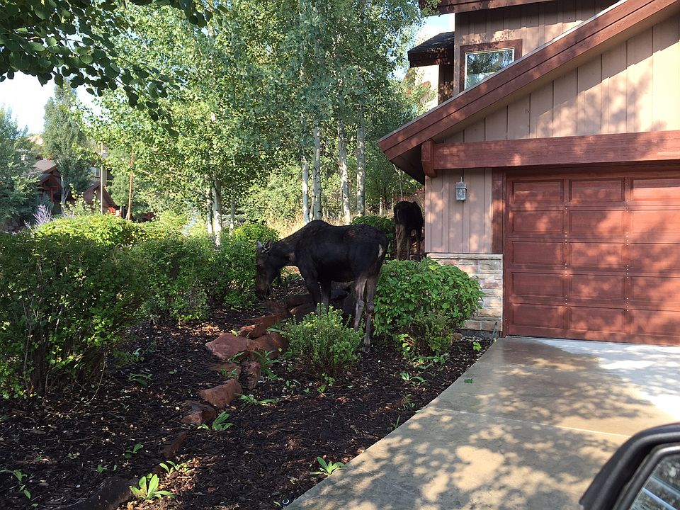 2nd image of 3415 W Cedar Dr