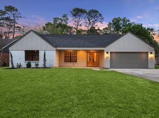 10043 Briarwild Ln, Houston, TX 77080