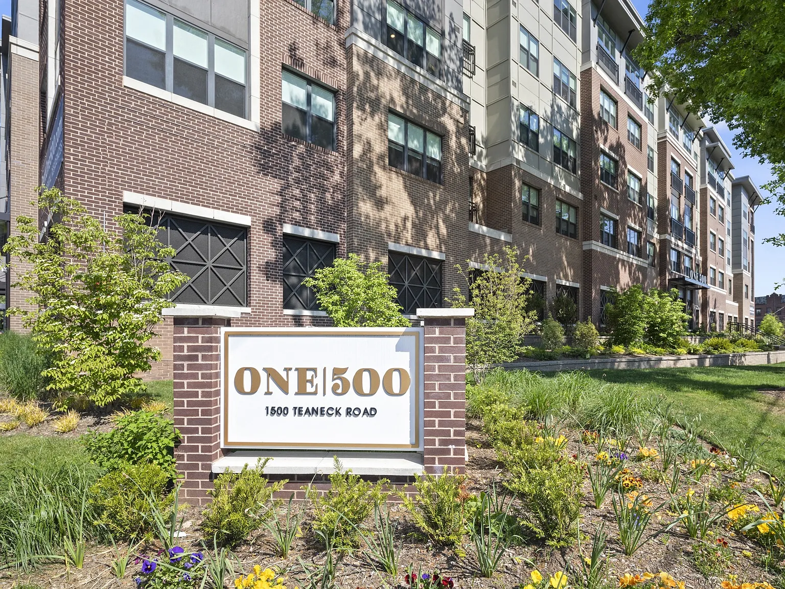One500 — Photo 2
