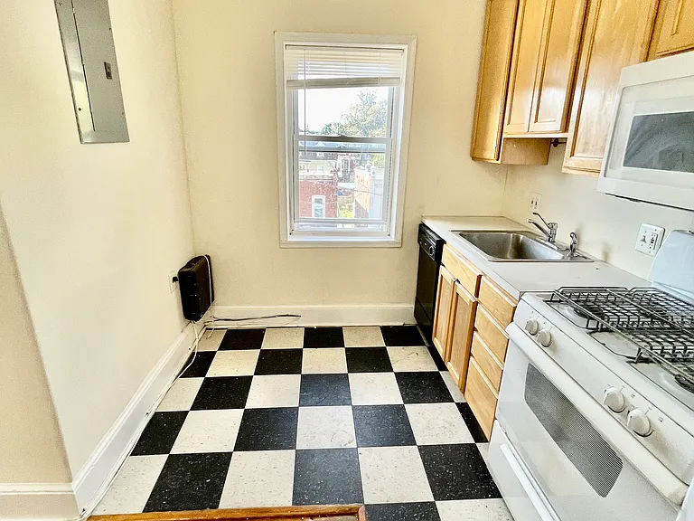 253 W Hansberry St #3F — Photo 7