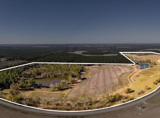 865 Holt Rd, Wray, GA 31798