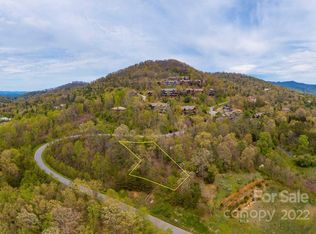 3 Senator Reynolds Rd, Asheville, NC 28804