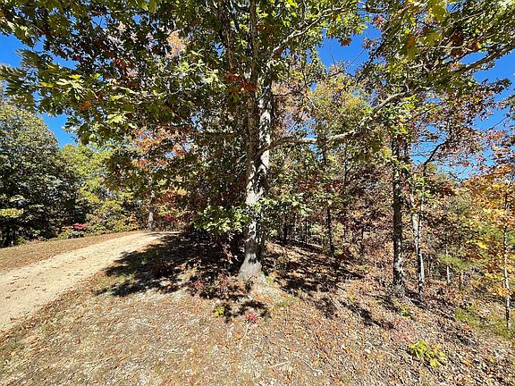 5th image of 000 County Road 106d