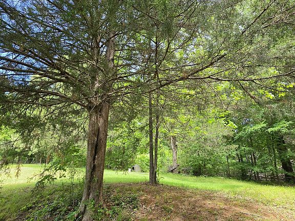 5th image of 556 Jamie Dr Lot 14B