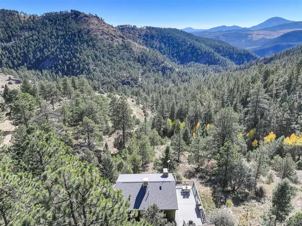 98 Teal Lane, Bailey, CO 80421