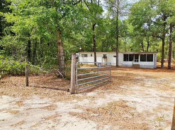 24533 Pink Panther Rd, Paisley, FL 32767