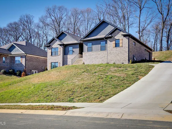 385 Gransley Ct, Gray, TN 37615