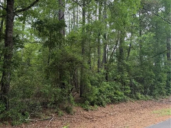 N Saint Charles Ave, Loranger, LA 70446