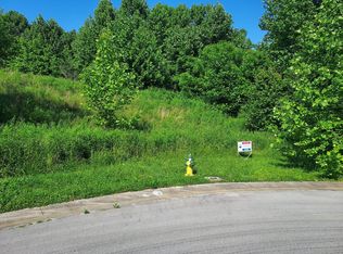 219 Brighton Pl, Bristol, TN 37620