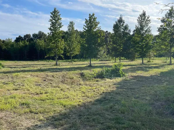 71 W Kinzer Ln, Searcy, AR 72143
