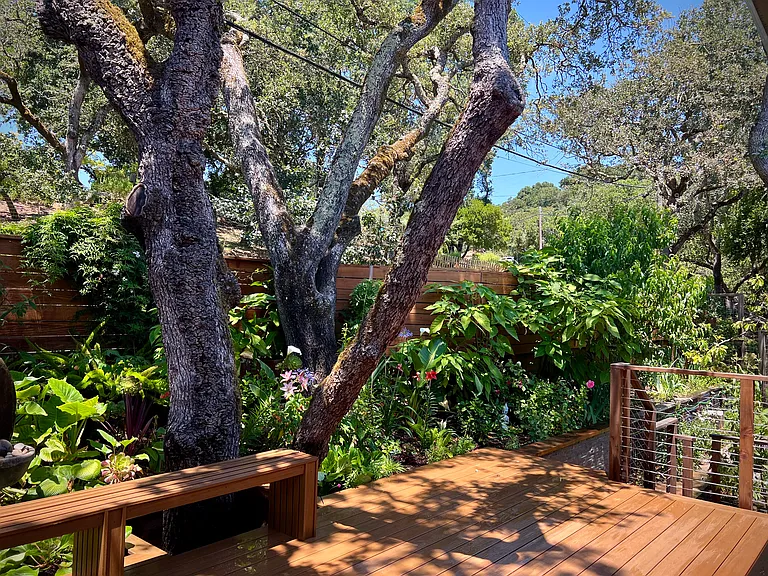Garden view