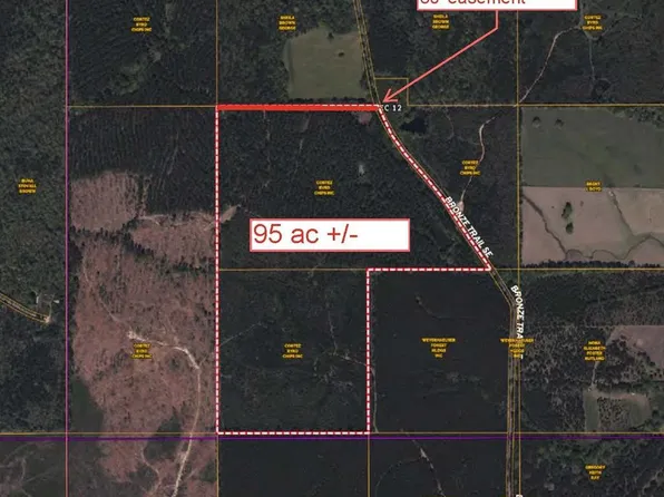 123 Bronze Rd, Ruth, MS 39662