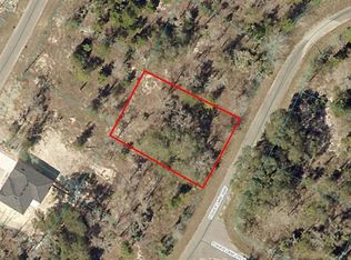 9038-1243-22 Fisher Lane Way #22, Ocklawaha, FL 32179