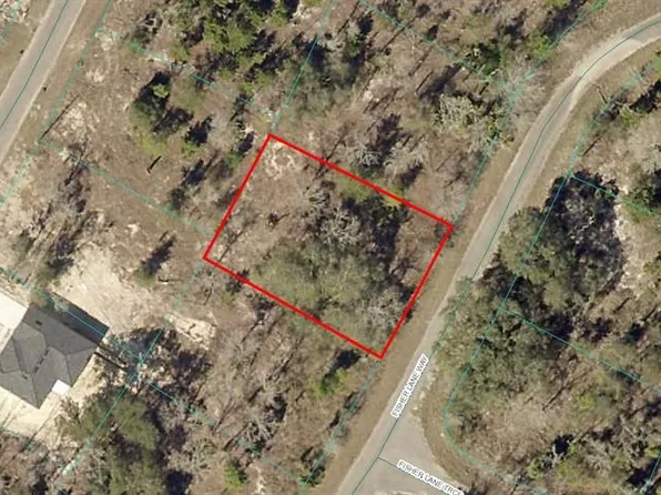 9038-1243-22 Fisher Lane Way #22, Ocklawaha, FL 32179