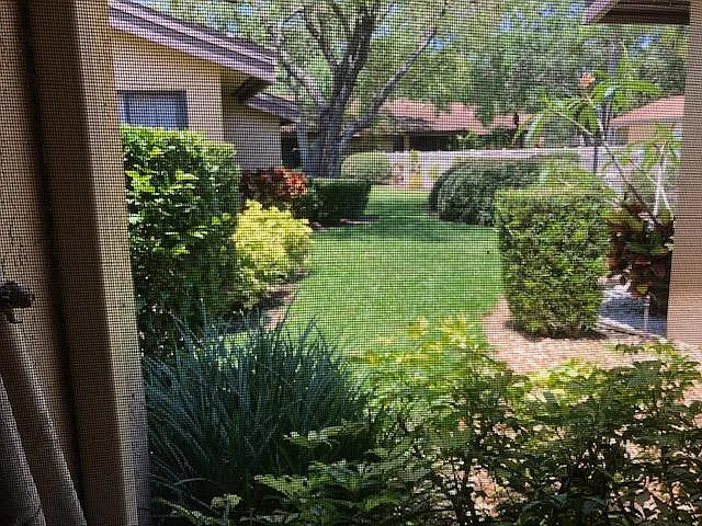 Yard view.