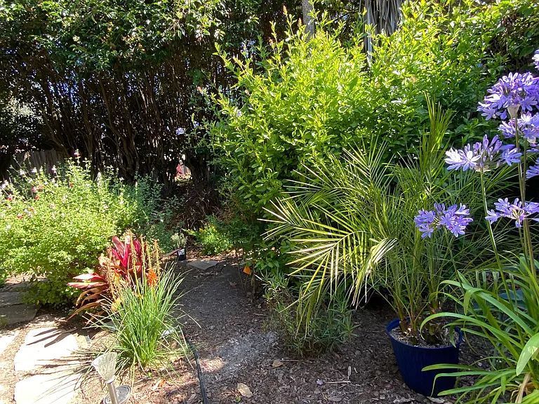 Rear garden
