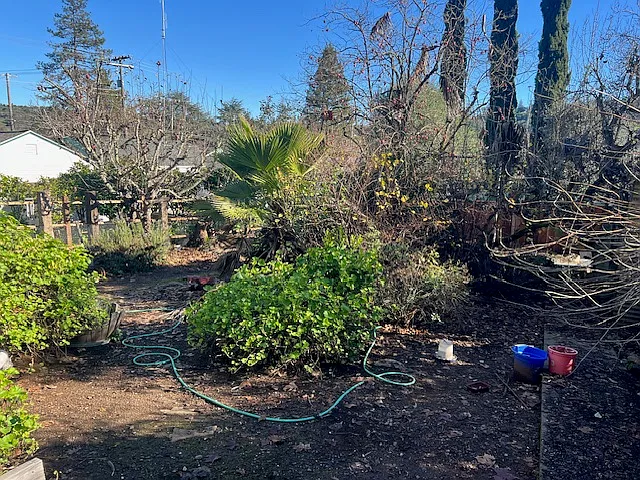 Large backyard for a garden - 828 Brown St