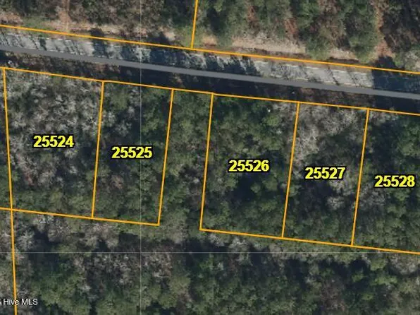 Lot 4 Lightwood Knot Road, Deep Run, NC 28525