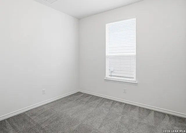 11634 Black Rose — Photo 21