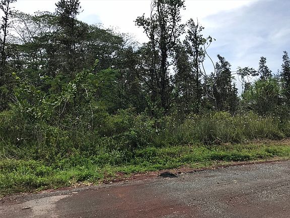 3rd image of Paradise Dr