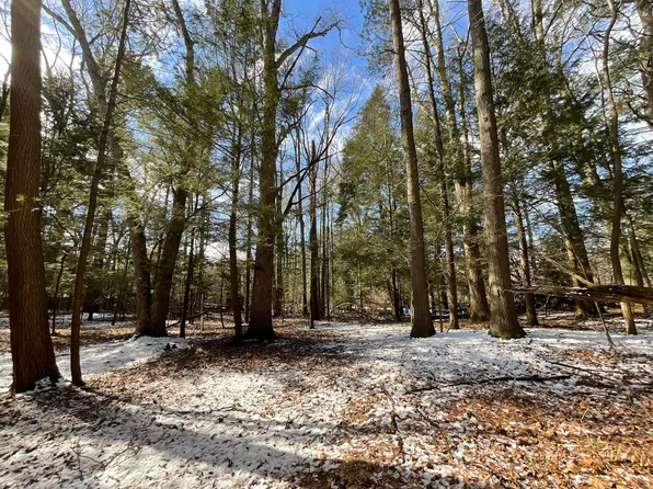 V/l S Clymer St, Pentwater, MI 49449