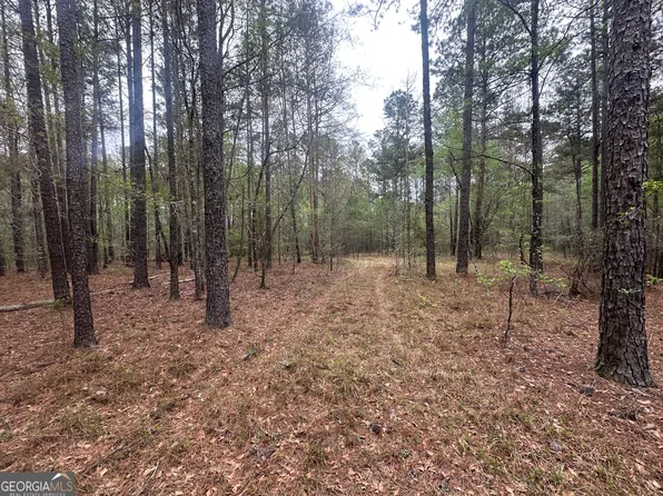 0 Fred Chance Rd, Millen, GA 30442