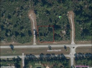1125 Concorde Pkwy NW, Lake Placid, FL 33852