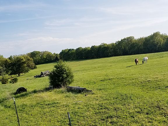 Lush pastures!
