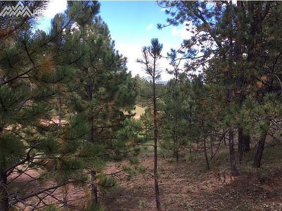 5th image of 786 Black Mesa Cir