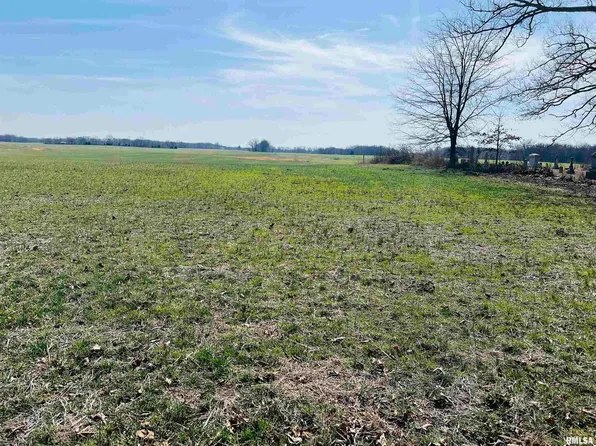 0 Bishop Ln, Omaha, IL 62871