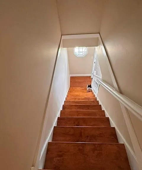 32 Bowles Ct — Photo 22