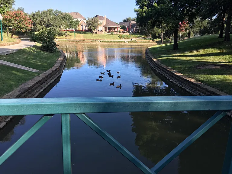 Canal View. Enjoy the wildlife in the area and feed them as you please.