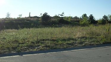 2nd image of 10121 S Settlers Way