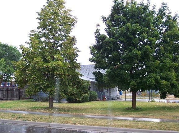Side