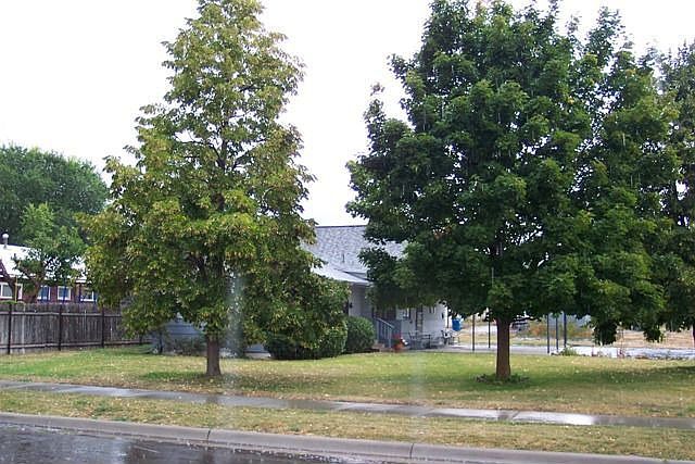 Side