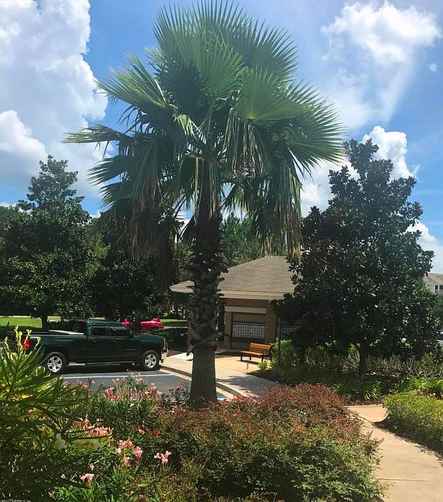 1st image of 13364 Beach Blvd Unit 831
