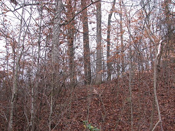 4th image of 419 Woodrun Dr