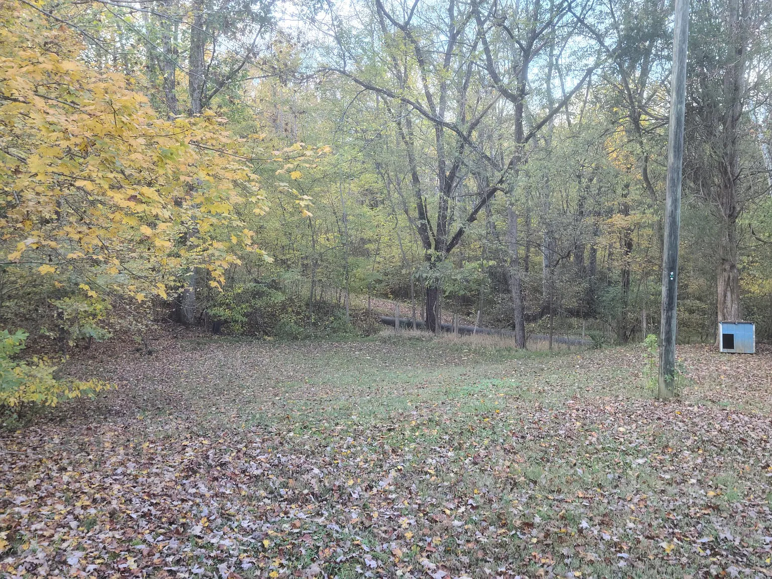 3 bed, 1232 sqft, $1,375 — Photo 2