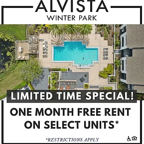 Alvista Winter Park — Photo 24