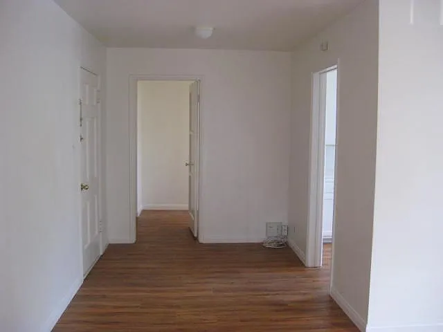 Entry to kitchen/hall