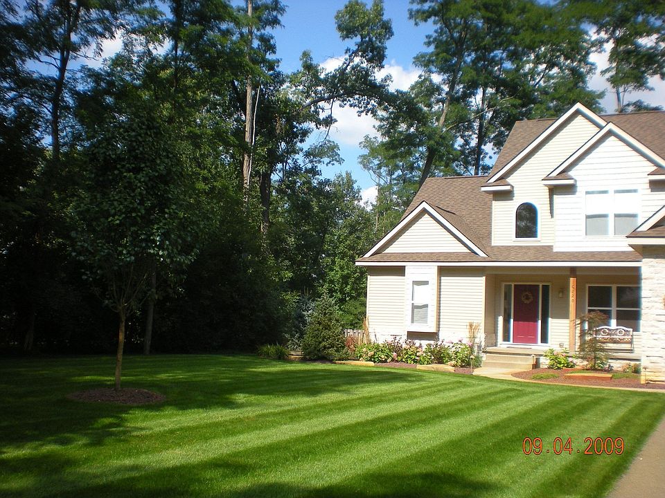Beautiful Lawn/Landscaping