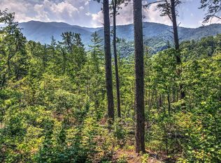 Hawk View Rd, Townsend, TN 37882