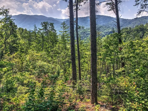 Hawk View Rd, Townsend, TN 37882